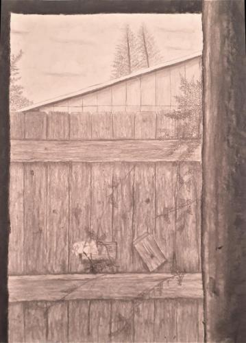 Hannah SchoettlinFenced InDrawing I