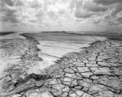 Barry Anderson. Florida #91. Photography. 1983.