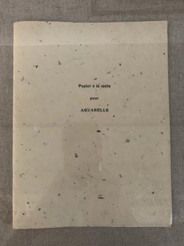 Louisa Chase (American, born Panama, 1951 - 2016)   Untitled (Set of 7 Drawings), about 1983, ink, graphite, and watercolor on paper, 12 3/4 x 10 in. each, On loan from the Estate of Louisa Chase and Hirschl & Adler Modern, New York, TD2019.3.14 