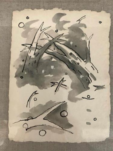 Untitled (Set of 7 Drawings) - Branches