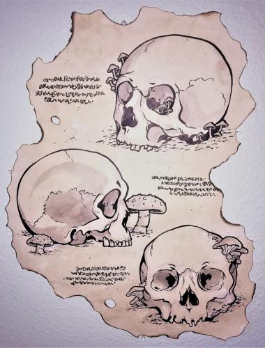 Lilly MercerForgotten SkullsDrawing II