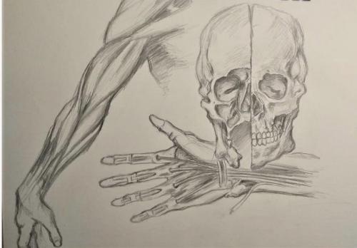 Alan NowosadDaVinci StyleDrawing II