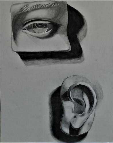 Drawing 2-Kira Anderson-Faciai Features II