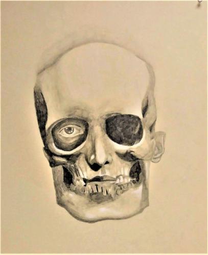 Drawing 2-Kira Anderson-Skull