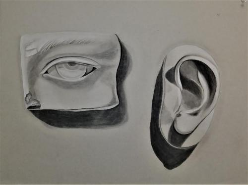 Drawing 2-Natalie Droz- Ear & Eye