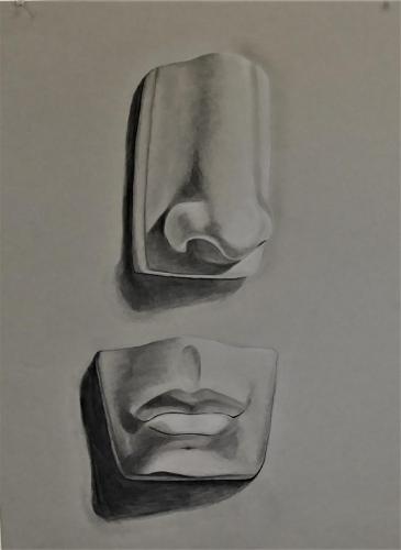 Drawing 2-Natalie Droz-Nose & Mouth